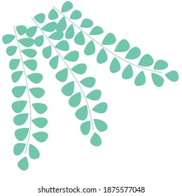 small green leaves in white background