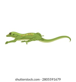 Small green lizard vector illustration isolated on white
