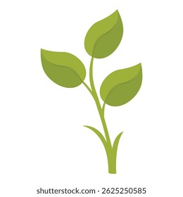 Small green plant growing with three leaves, representing concepts such as nature, growth, and environmental awareness
