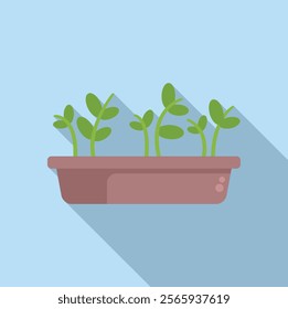 Small green plants growing in a pot on a windowsill, concept of spring and urban gardening