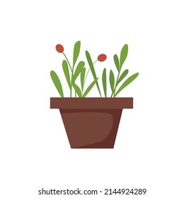 Kleine grüne Setzlinge in einem Topf. Vektorgrafik-Illustration.