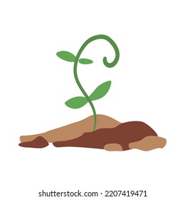 Small green sprout growing in soil flat vector illustration