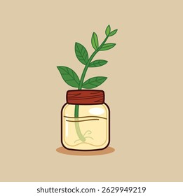 A small green-leaved plant growing in a clear jar filled with water. The plant’s roots are visible in the water, showing its growth process