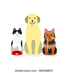 Small group of dogs and cat who needs services