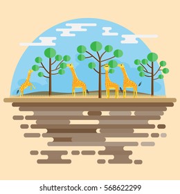 A small group of giraffe are eating tree leaf in Savanna flat scene background vector design.