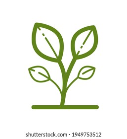 Icono lineal de vector botánico de pequeña expansión aislado en fondo blanco.