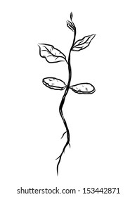 small growing plant / cartoon vector and illustration, hand drawn, sketch style, isolated on white background.