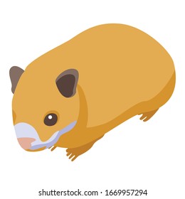 Small hamster icon. Isometric of small hamster vector icon for web design isolated on white background