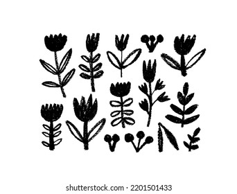 Small hand-drawn flowers set. Wild flowers and plants, medical herbs. Black botanical elements isolated on white background. Herbal and meadow plants. Charcoal or pencil drawn small branches and stems