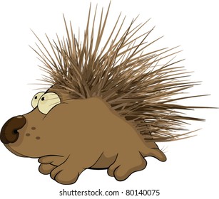 Small hedgehog. Cartoon