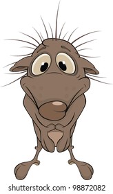 Small hedgehog. Cartoon