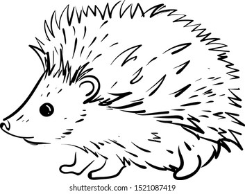 Small hedgehog, illustration, vector on white background.