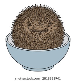 Small hedgehog inside bowl, looking shy. Adorable and cute prickly animal.