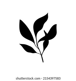 A small herbaceous plant. branch of forest herbs with 5 leaves. From the collection Herbs and plants of tropical and other forests