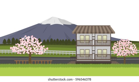 Small Hotel, Hostel and Sakura Cherry blossom Tree  with Fuji Mountain background , Spring Season , Isolated on White Background Vector
