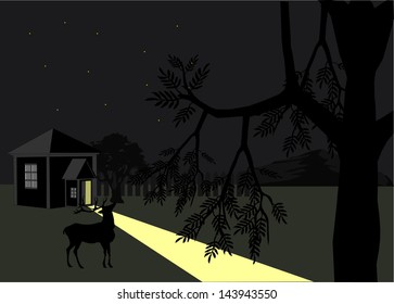 Small house in forest