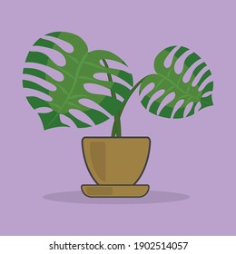 small houseplant in a light brown pot on a purple background. flat ltsign illustration. stock vector graphics