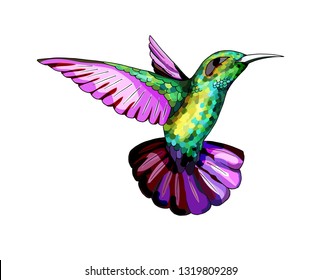 Watercolor Illustration Flying Hummingbird Isolated On Stock ...