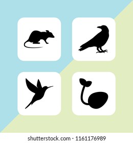 small icon. 4 small set with bird, sprout and rodent vector icons for web and mobile app