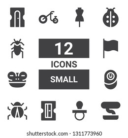 small icon set. Collection of 12 filled small icons included Bonsai, Pacifier, Sharpener, Ladybug, Newborn, Frog, Flag, Tricycle, Ladybird, Cockroach, Dummy