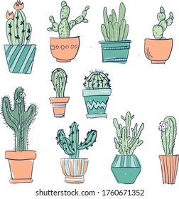 small indoor plants in pots cacti, succulents