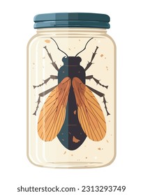 Small insect in bottle jar isolated