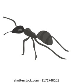 
A small insect having small legs depicting ants
