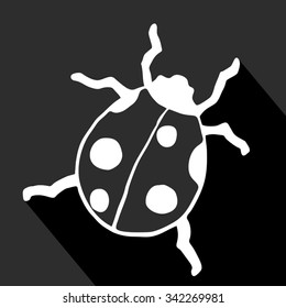 small insect illustration