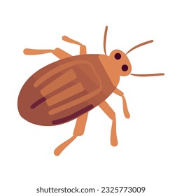 Small insect symbol isolated on white background icon