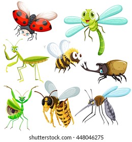 Small insects and creatures illustration