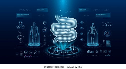 Small intestine health care technology with scan virtual interface hologram style. X ray and MRT human body examination. Medical diagnostic with HUD, UI, GUI. Analysis in futuristic laboratory. Vector