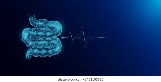 Small intestine human organ anatomy in form style polygon low poly futuristic and pulse wave glowing. Medical science template banner with empty space for text. Vector EPS10 illustration.