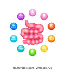 Small intestine human organ surrounded by Probiotic Prebiotic Postbiotics and Fiber Beta carotene. On white background. Supplement nutrients necessary for intestine. Medical health care. Vector.