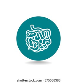 small intestine icon