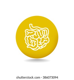small intestine icon