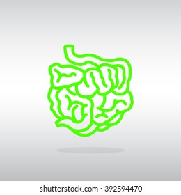 small intestine icon