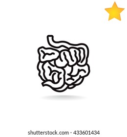 Small intestine icon