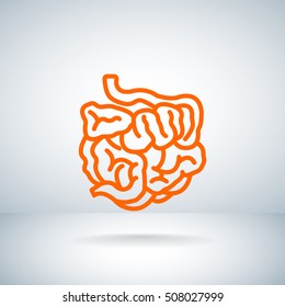  Small intestine icon vector.