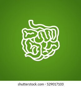  Small intestine icon vector.