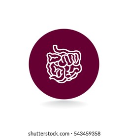  Small intestine icon vector.