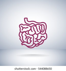 Small intestine icon vector.