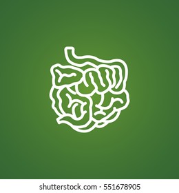  Small intestine icon vector.