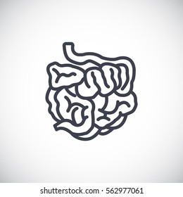 Small intestine icon vector.