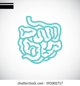  Small intestine icon vector.