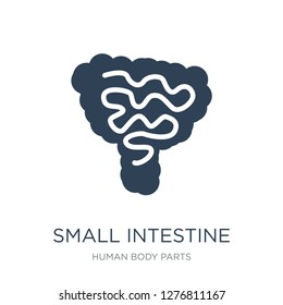 small intestine icon vector on white background, small intestine trendy filled icons from Human body parts collection, small intestine vector illustration
