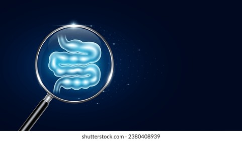 Small intestine inside magnifying glass with scan search and blue neon heart pulse. Health care and medical check up too innovative digital technology. Body health checkup examining organ. Vector