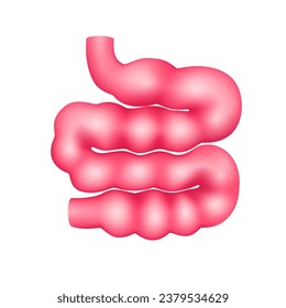 Small intestine internal organ anatomy model isolated on a white background. Medicine and science concept. 3D icon vector illustration. For advertisements about health care.