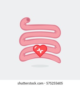 Small intestine vector illustration