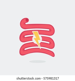Small intestine vector illustration