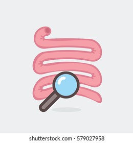 Small intestine vector illustration